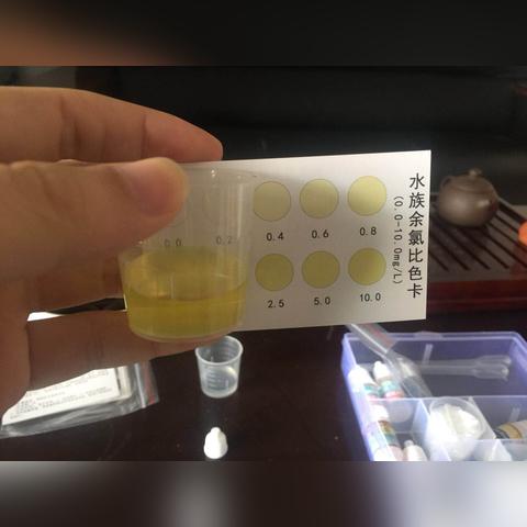 厦门市的自来水怎么样