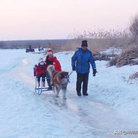 哈尔滨市都有哪些好玩的