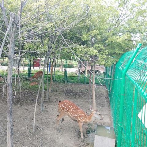沈阳市欧风园怎么样