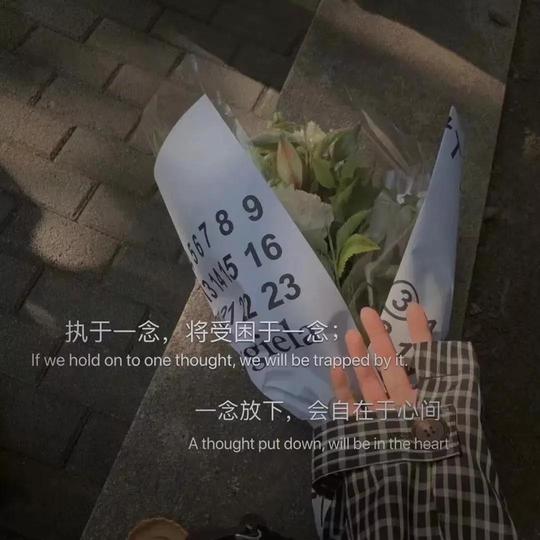 抖音文字背景图扎心了老铁