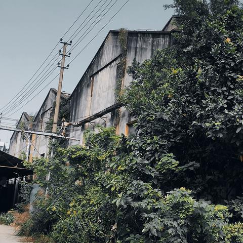 南宁市哪个厂女孩子多