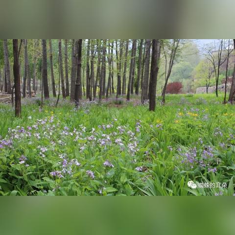 保定市旅游景区有哪里