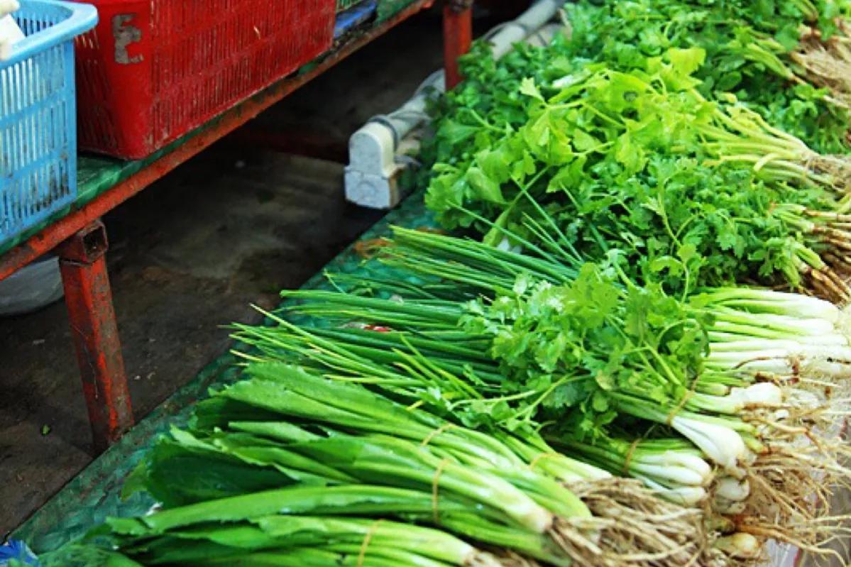 【辽宁疫情最新数据消息今天新增
 ,辽宁疫情新动态最新】