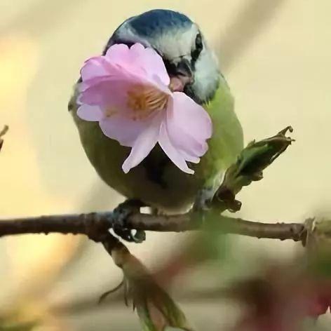 江苏无锡市春风的长尾关键词有哪些