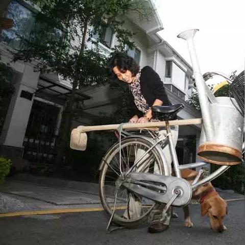 在广州市养鸡有什么规定