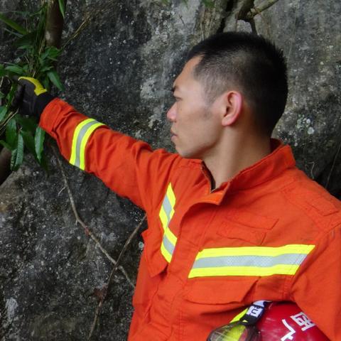 南宁市丛林小学怎么样