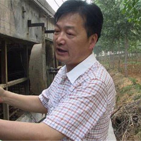 公务员养猪算经商吗？