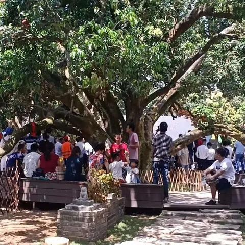 广州市从化区包括什么镇