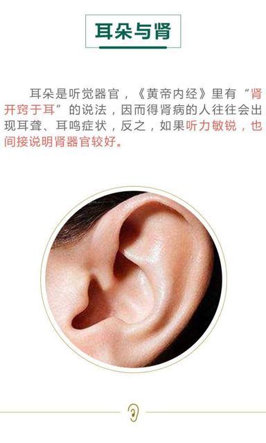 相由薪生什么意思