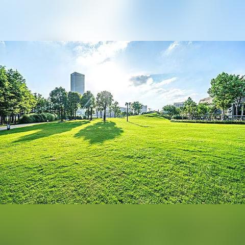 哈尔滨有哪些大公园？