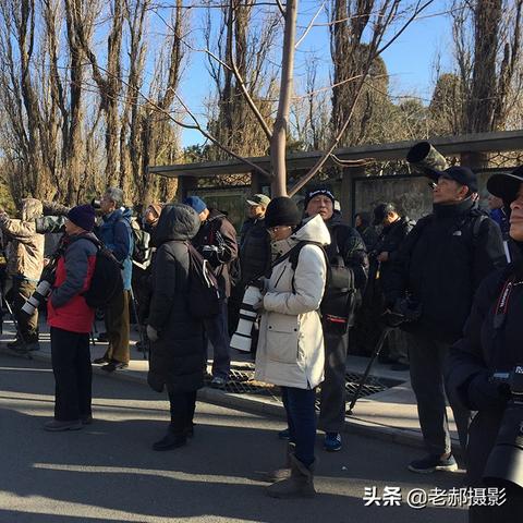 广州聚集感染相关长尾关键词有哪些