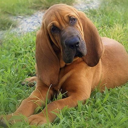 长沙圣都娱乐相关长尾关键词有哪些