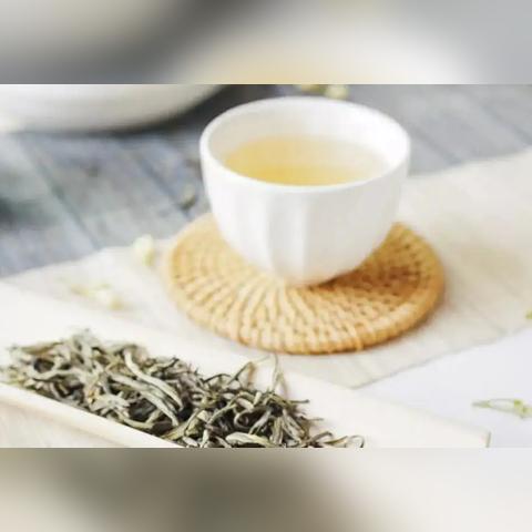 兰州市哪里批发茉莉清茶