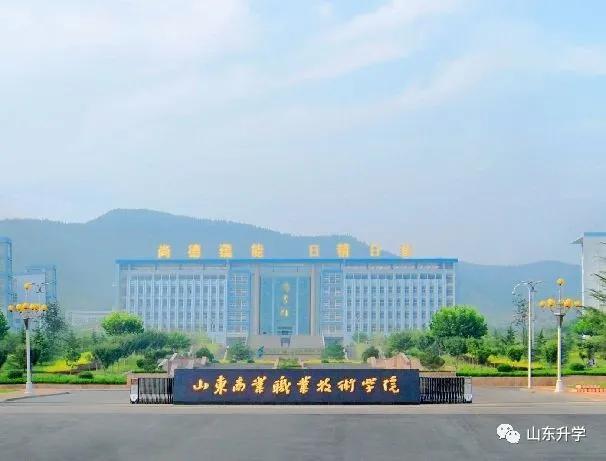 2020山东中学实力榜:谁领风骚?