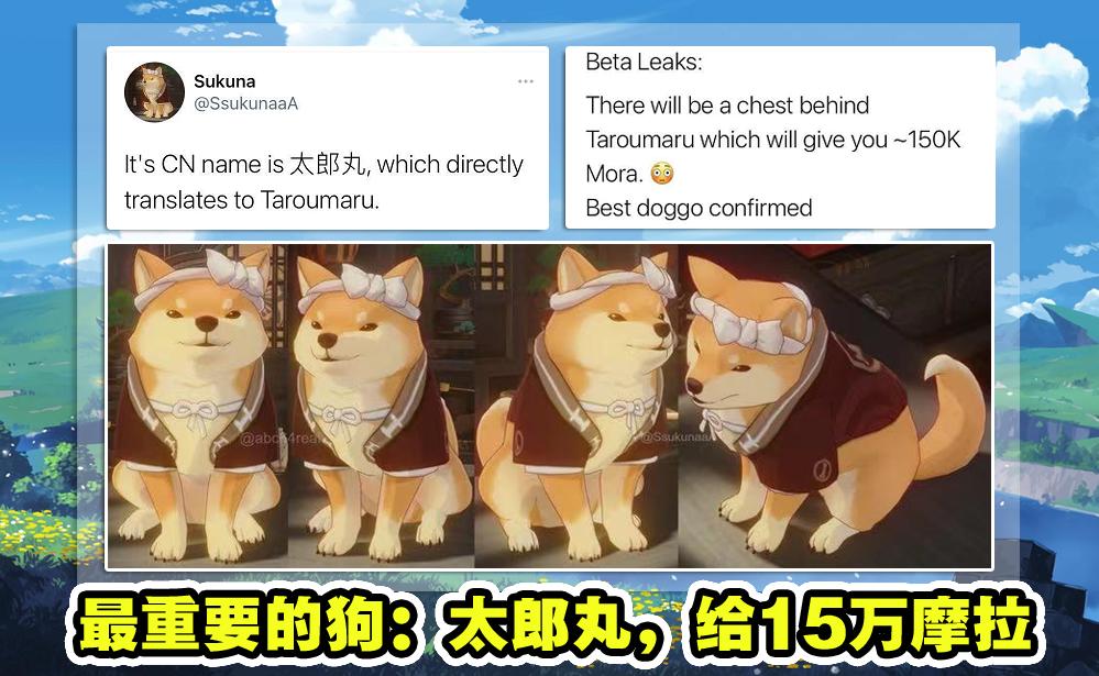 原神新活动小狗怎么获得（原神无妄坡怎么给小狗喂食）