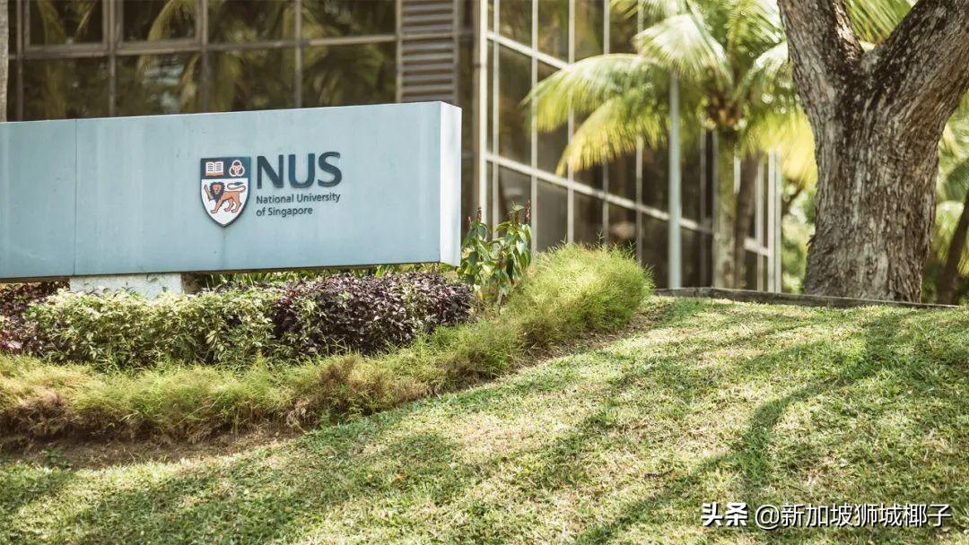新加坡国立大学世界排名(2021年国际大都市排名前十名)