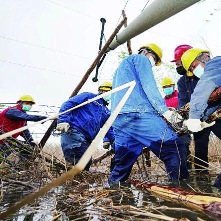 【哈尔滨今日停电信息】2025年5月11日哈尔滨哪些区域停电