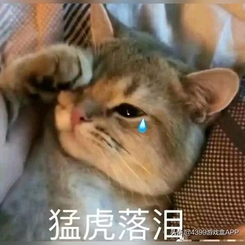 x星露谷（星露谷物语，探索X星的田园生活）