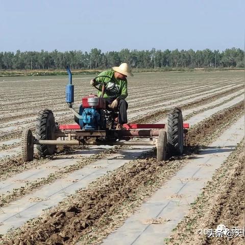 阿瓦提历史天气预报的长尾关键词有哪些