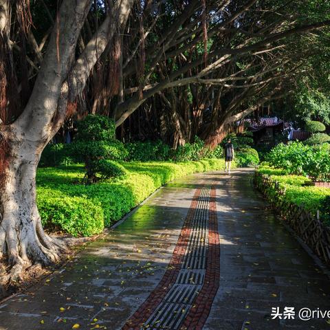 泉州市和杭州市哪个大