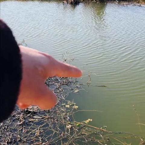 宁波市和宁波哪个比较大