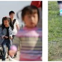 佛山市三地农场在哪里啊