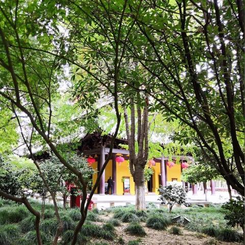 2025.12.1常熟今天空气质量指数怎么样