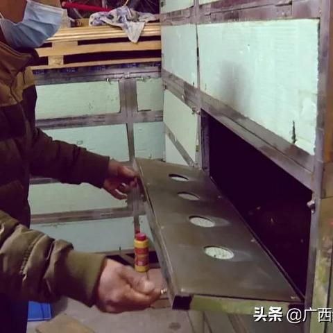 石龟在南宁的相关长尾关键词有哪些