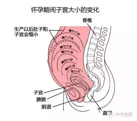 怀孕会子宫破裂吗？孕妈别担心，概率小