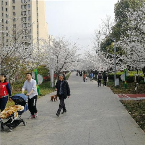 上海有哪些位置可以游览