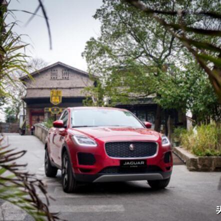 重庆豹子怎么样