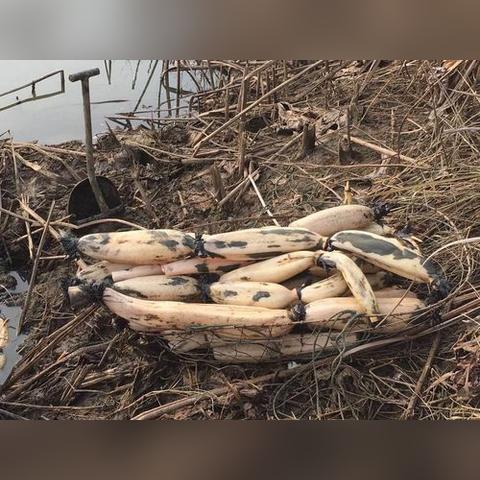 武汉特产在哪里买好的长尾关键词有哪些