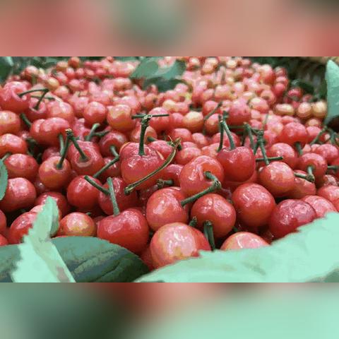 上海到宁波汽车票的相关长尾关键词有哪些