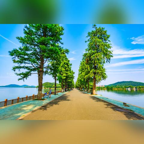 里约热内卢旅游(里约热内卢旅游安全吗) 里约热内卢旅游(里约热内卢旅游安全吗)