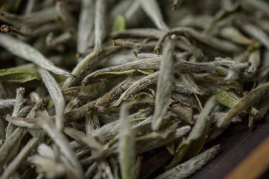 如何才能挑到好白茶？9块9包邮的白茶你买吗？