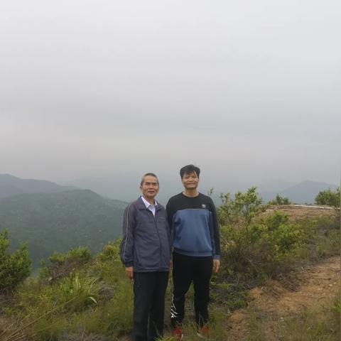 厦门市脐橙卖什么价
