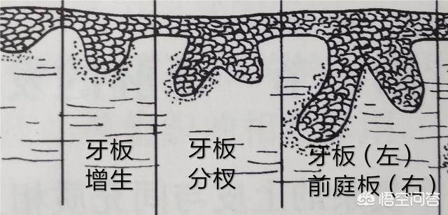 半夜喂奶好困的心情说说朋友圈
