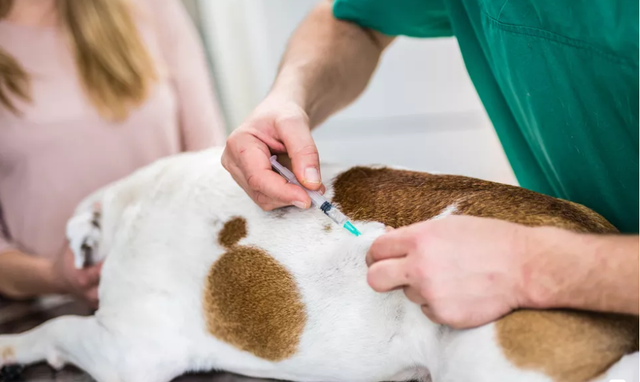 腺病毒会传染吗