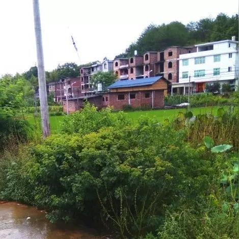 广州市钟姓有多少人口