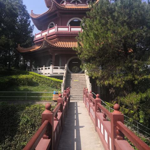 佛山市哪些公园比较好玩