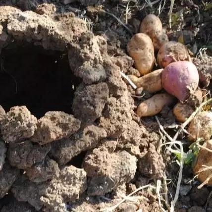 桂林市其他美食有哪些相关长尾关键词有哪些