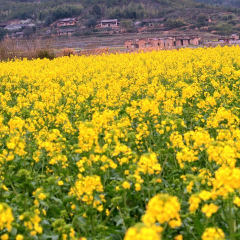 海洋世界福建的相关长尾关键词有哪些