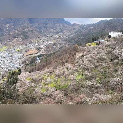 成都市附近有哪些县城