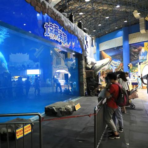 去西安市海洋馆怎么预约