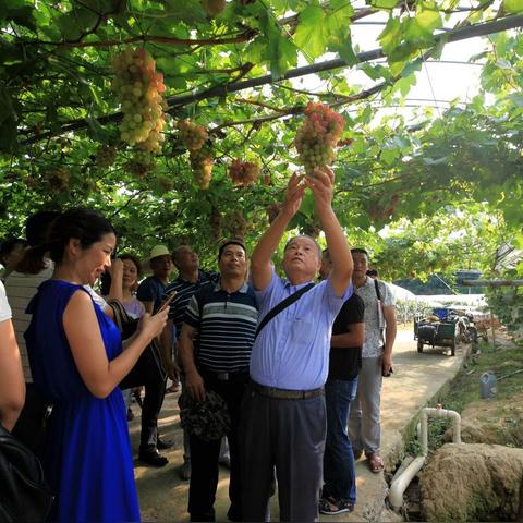 松溪属于福建哪个城市