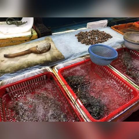 武汉市吃什么好呢