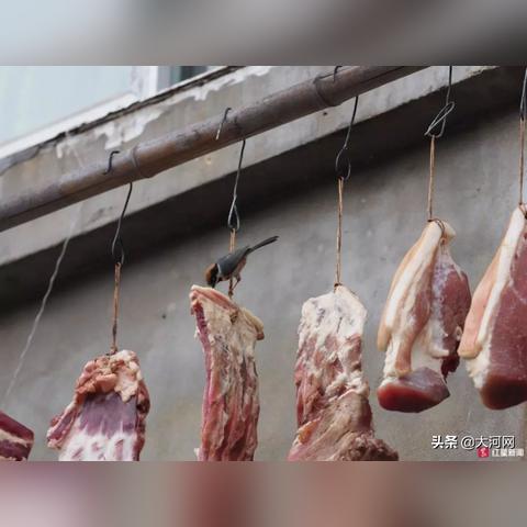 河南户外花的相关长尾关键词有哪些