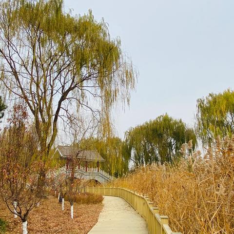 天津唐山南湖哪个好