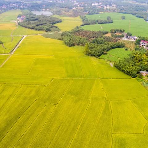 【天津汽车限行】长尾关键词有什么