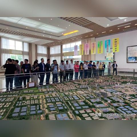 厦门名森木业的相关长尾关键词有哪些